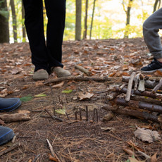 Student exploration