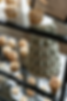 Cupcakes and a macaron tower on a glass display stand. Soft beige and green hues create an elegant and tempting presentation.