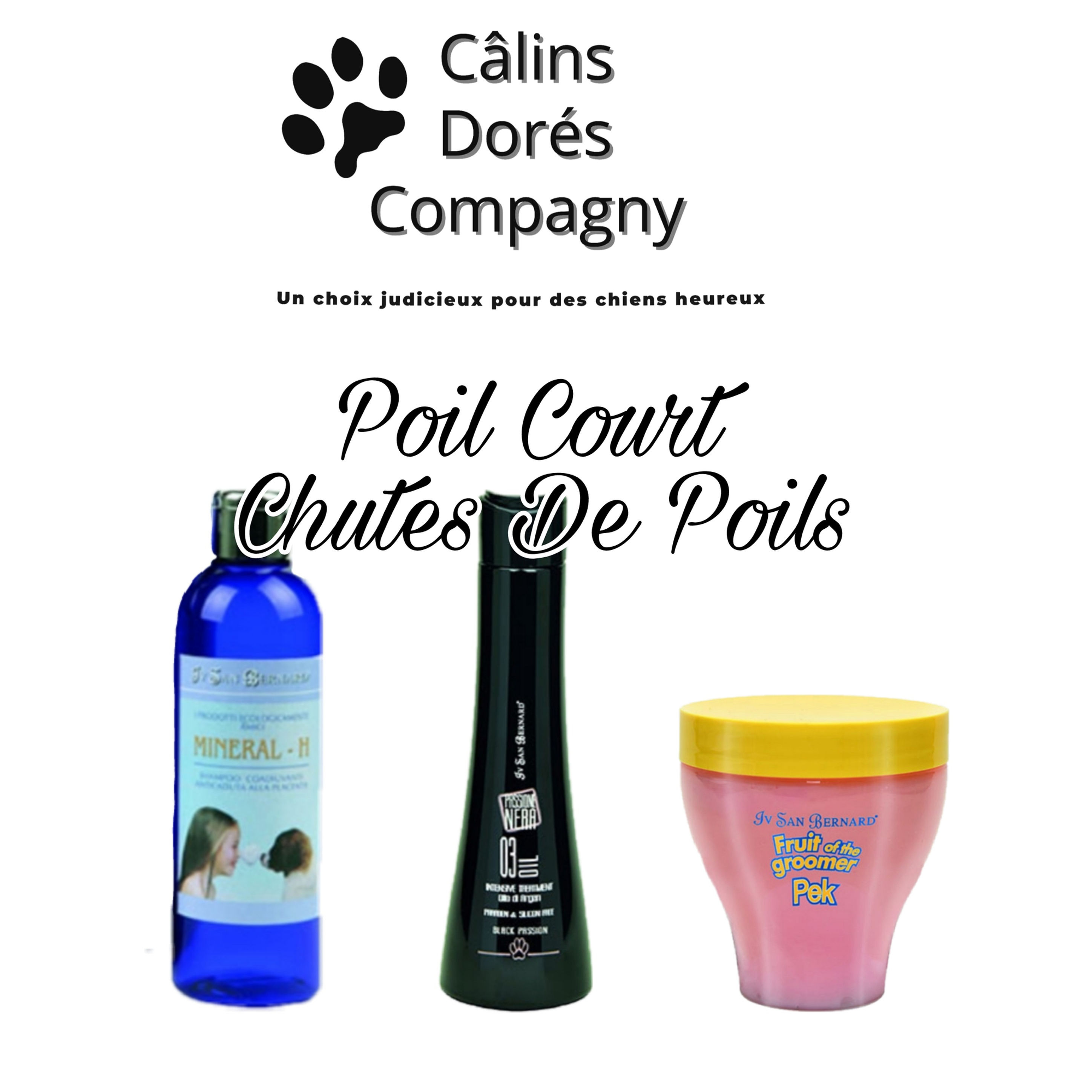 Poil Court Chutes De Poils