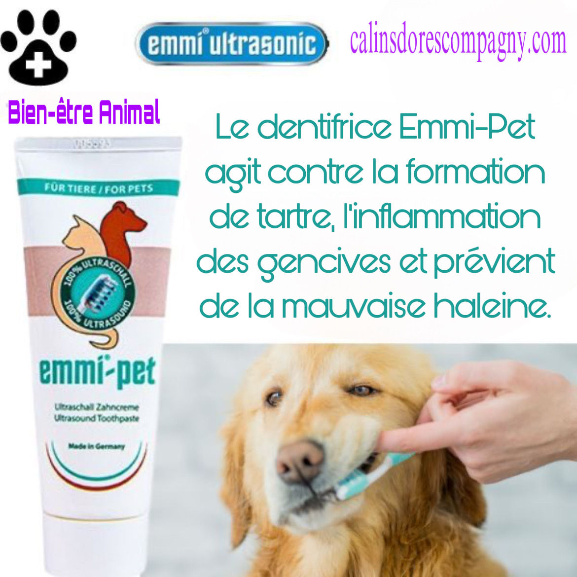 Dentifrice Emmi Pet à ultrasons pour animaux