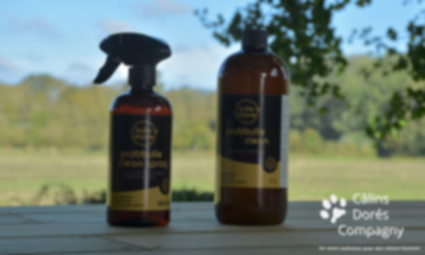 DUO NETTOYANTS SURFACES PROBBULLE CLEAN - Contenant des probiotiques