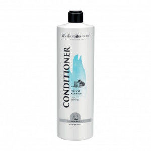 الصورة المصغرة: Poil Long Jeune Chien