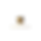 Logo Sem Fundo.png
