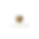 Logo Sem Fundo.png