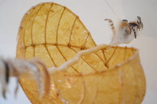 Light Nest