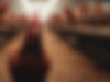 Header copy.jpg