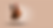 chicken cover image