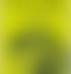 Romanian Kingpin Of Rare Book Thieves Behind Bars Thanks To Italy