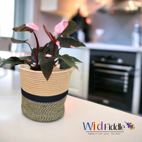 11 Bohemian Woven Baskets Wild Fiddle 11-bohemian-woven-baskets-wild-fiddle