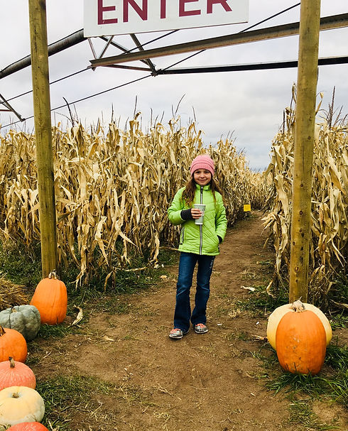 Otter Berry Farm Corn Maze Minnesota Pumpkin patch
