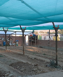 nieuwe schaduwe net.jpg