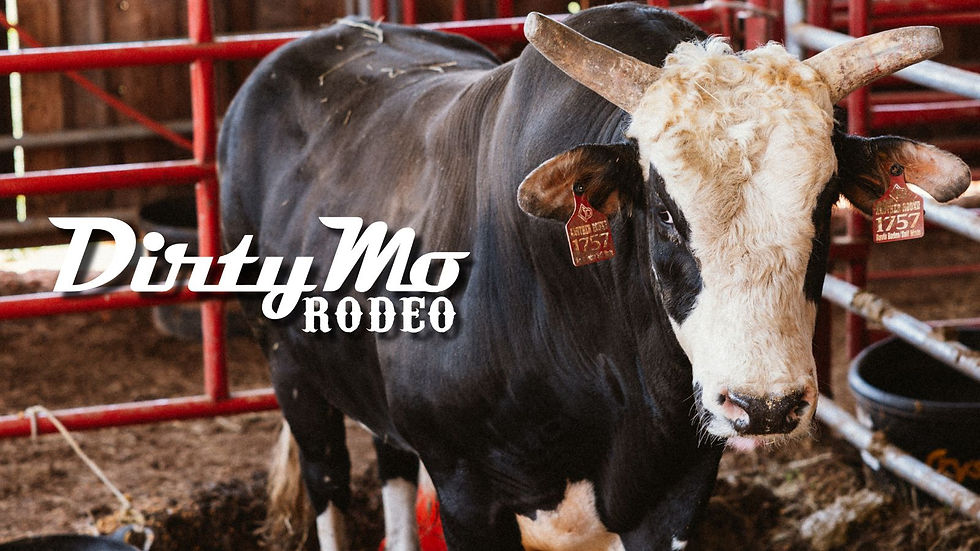 Another Round, a bucking bull from Davis Rodeo Ranch and Self Made Bucking Bulls.