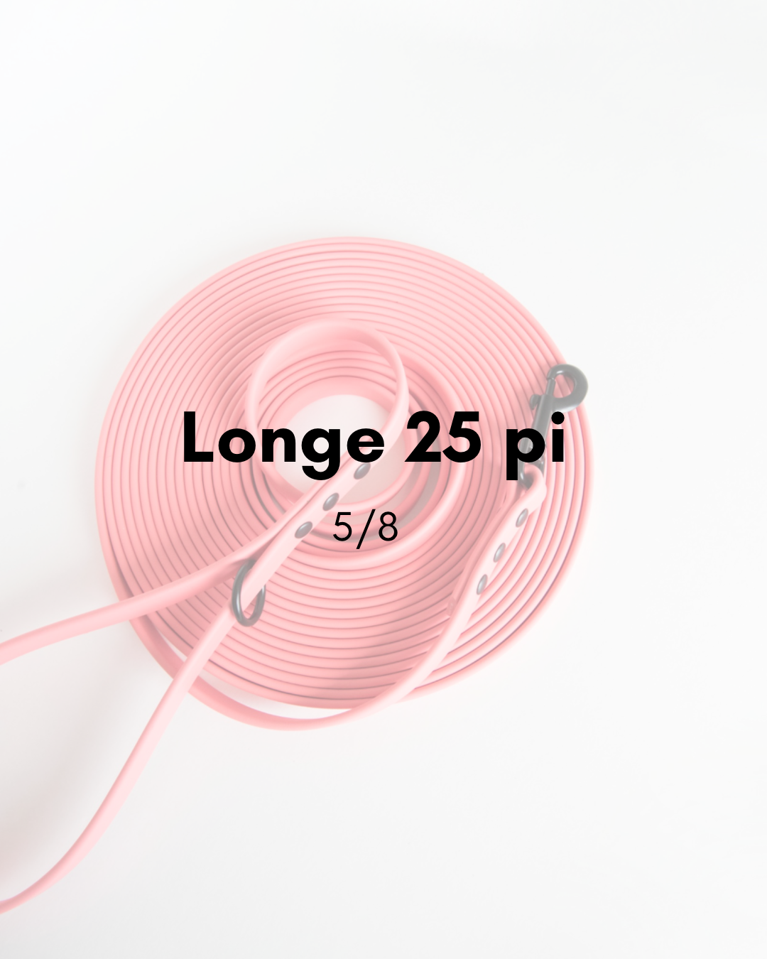 Longe 25 pi pour moyens-grands chiens (5/8po)