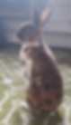 2024-03-10.png
