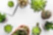 top-view-plants-wooden-surface.jpg