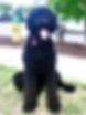 FullSizeRender (1)_edited.jpg