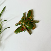 image5.jpeg