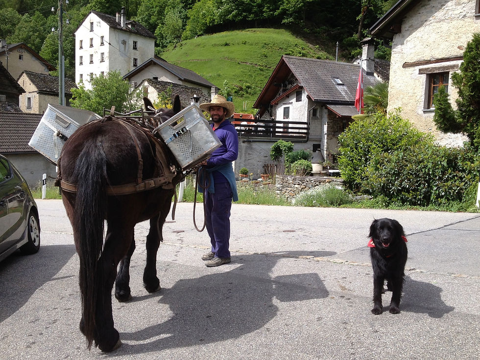 SOMARELLI Aktivferien und Timeout