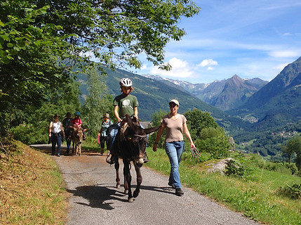 Ferienpakete im Sommer
