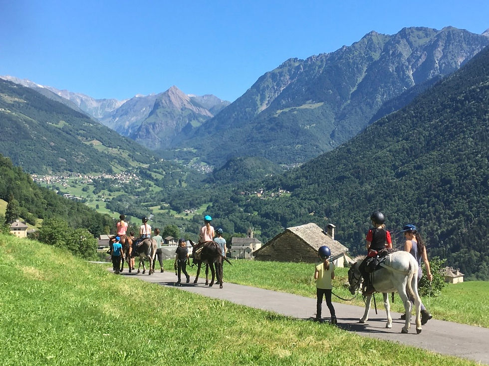 Von und mit Tieren lernen! > Familienwochen im Herbst 2026