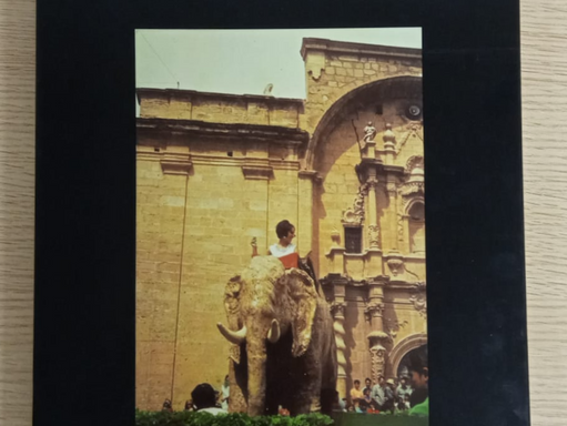 Mas de las Matas IX - 15€