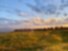 IMG_8021.jpeg
