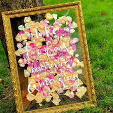 Perspex Petal Sign with Gold Frame DIY
