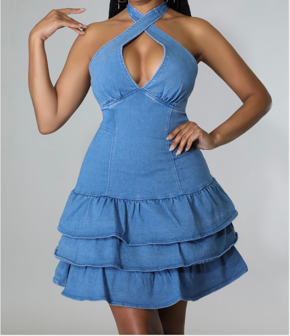 Give It All Denim Dress