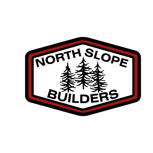 NS Builders Logo.png