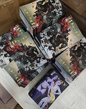 Paradox book(1).jpg