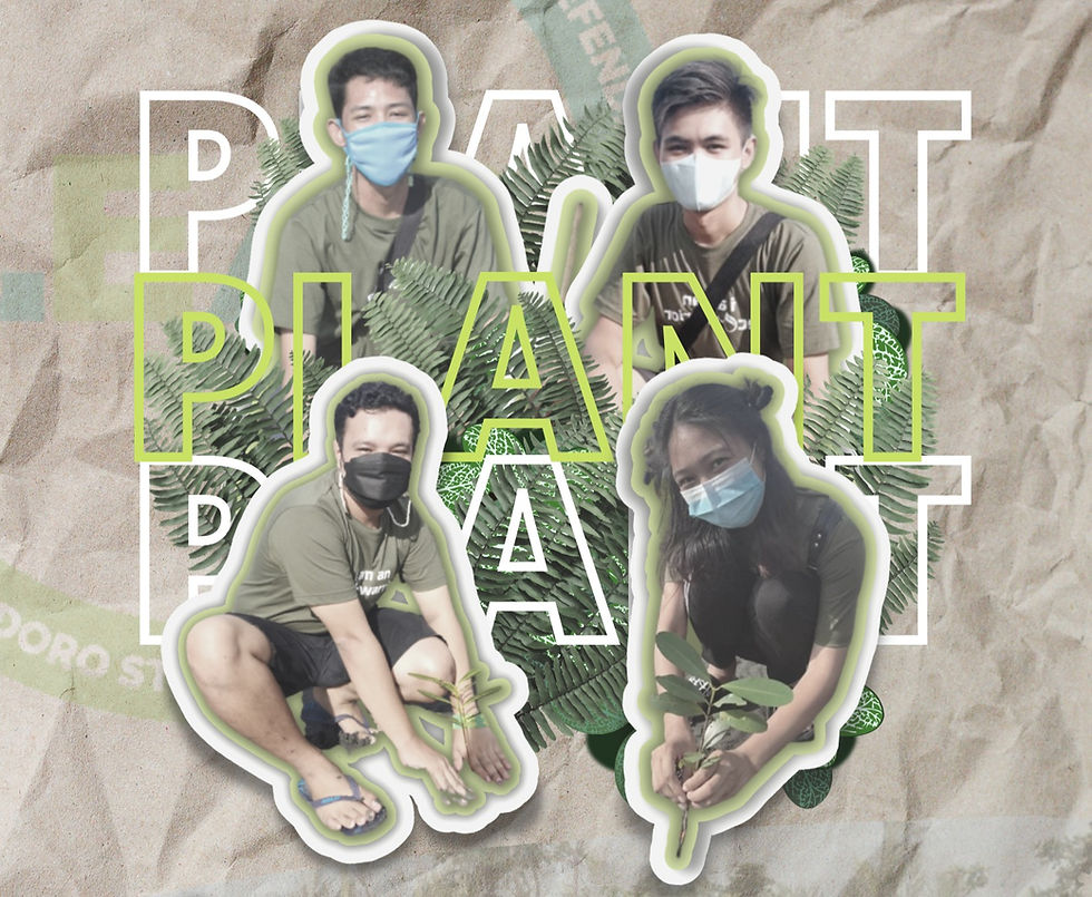 POSTER | Mangrove Planting Activity