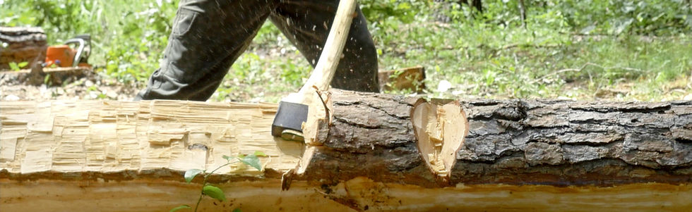 Dan using a felling ax in the first step of hewing a log, which is juggling.