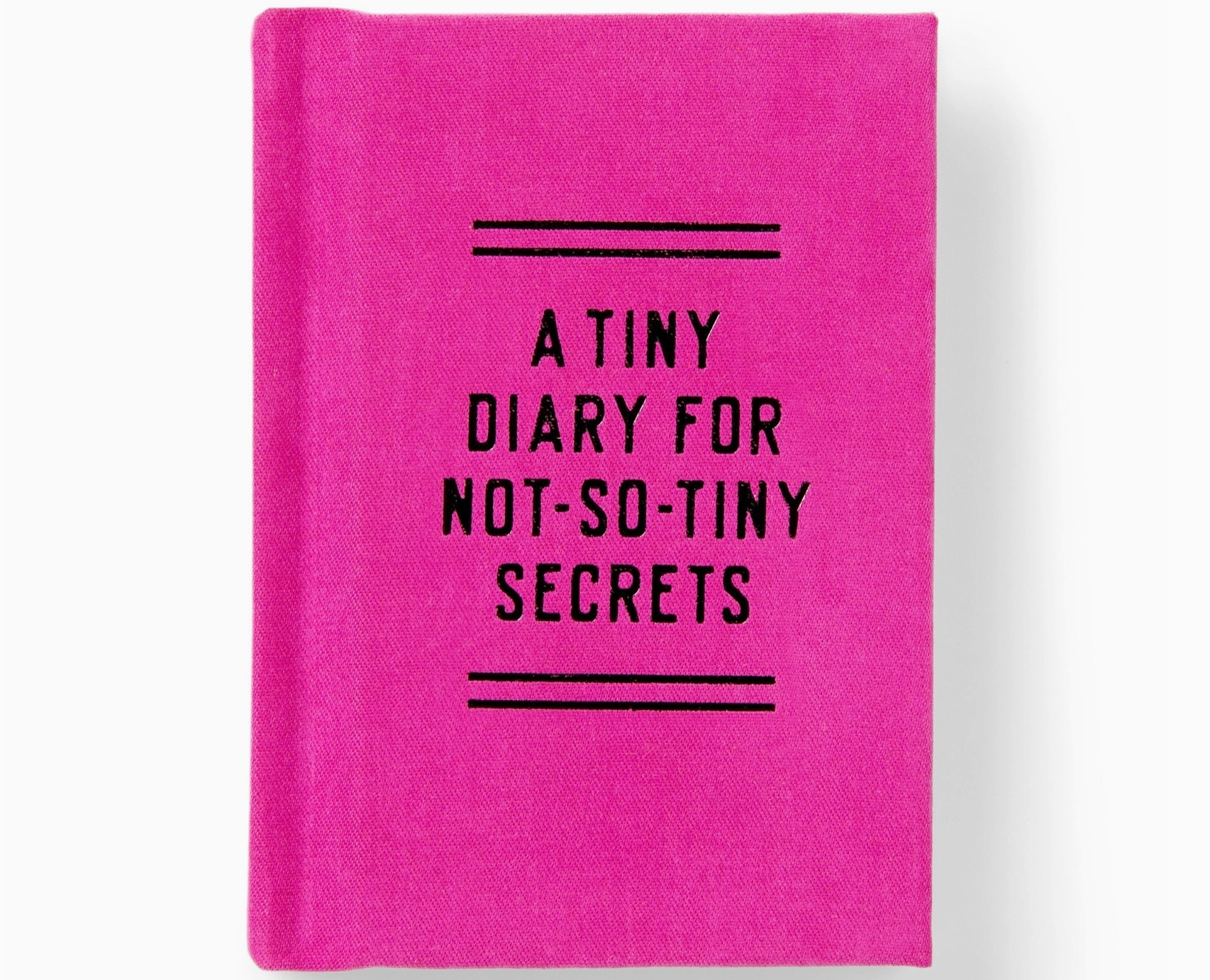 A Tiny Diary For Not-So-Tiny Secrets