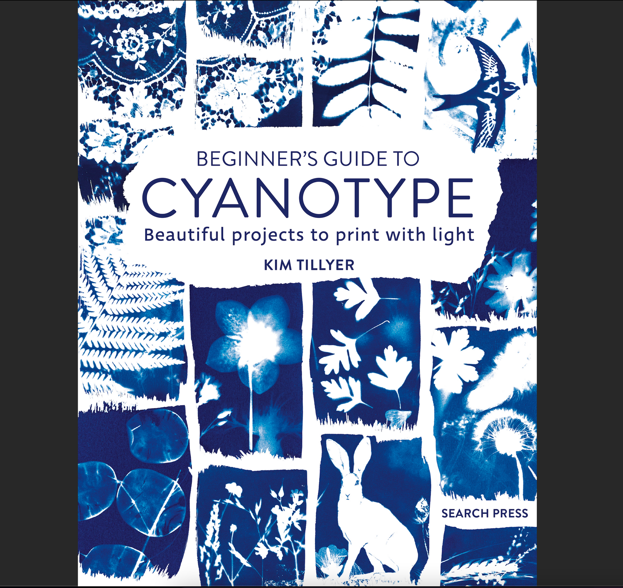 Beginner’s Guide to Cyanotype