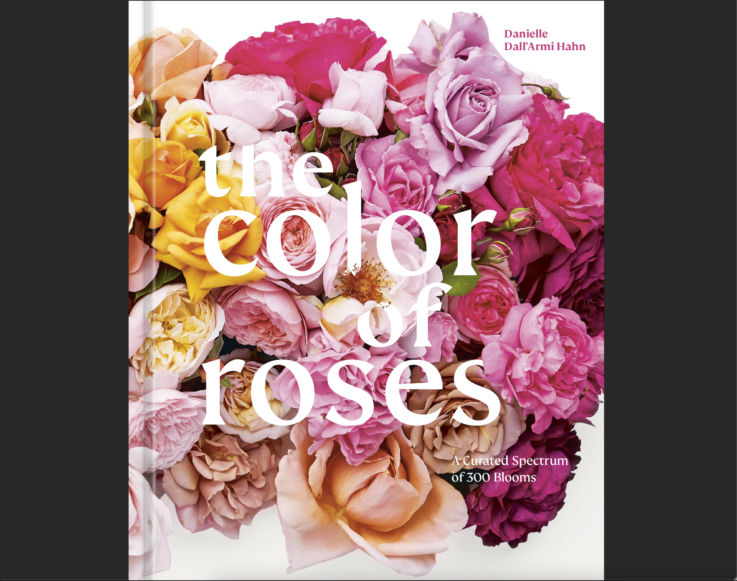 The Color of Roses