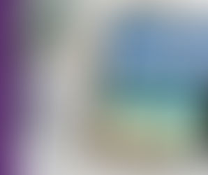 UAE Weekly News Roundup 15/11/20