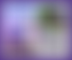 UAE Weekly Business News 09/02/2026