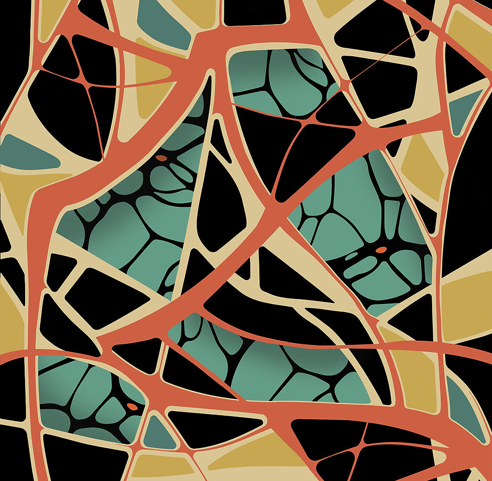 10-WEBS.jpg