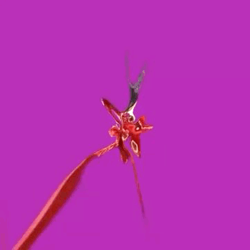 GIF-2024-12-13-16-02-13.gif