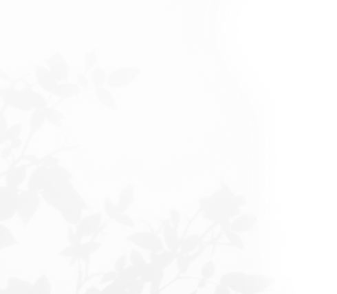 1702395107-25-gallery-bgd copy_edited.png
