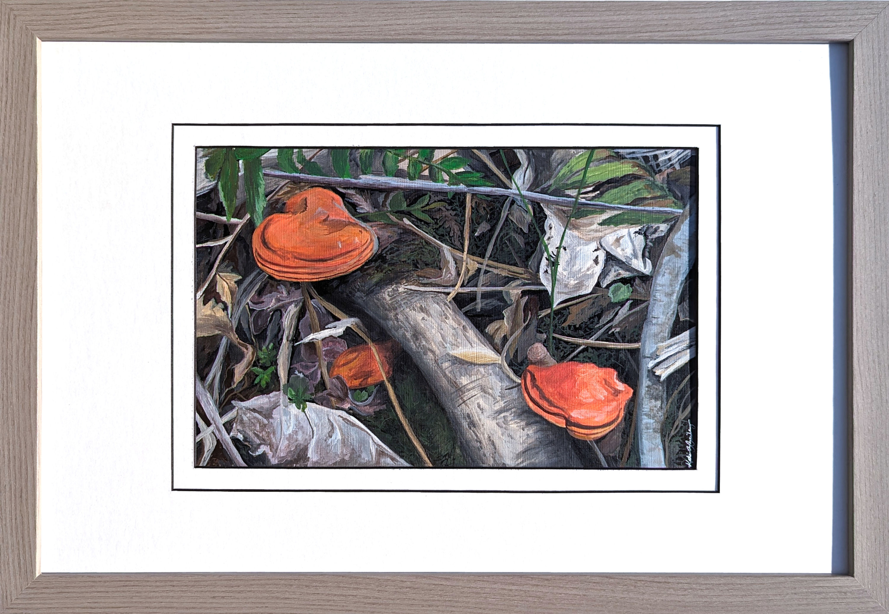 red mushrooms in forest leaves and twigs