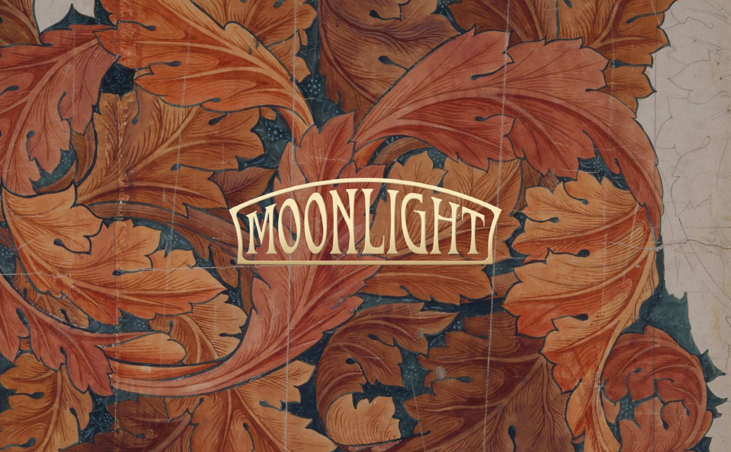 0420moonlight-3.jpeg