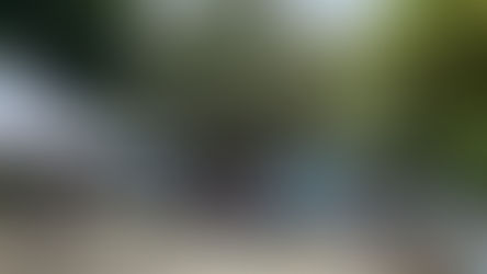 令和4年度ぽっぽの日ご案内