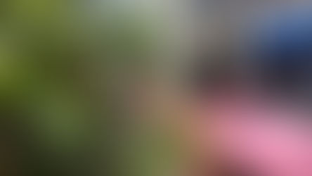 真っ赤なやまもも　ジャム美味しい