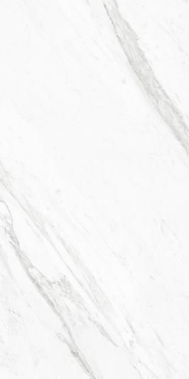 Thumbnail: Carrara Titanium | Porcelain Tile