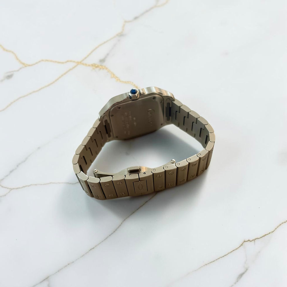 Thumbnail: Cartier Santos Reference WSSA0010