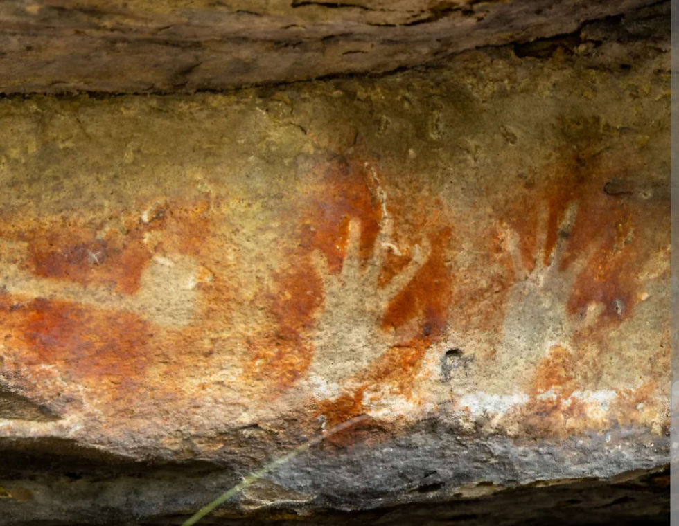 The Rich History Behind Indigenous Cultural Paintings