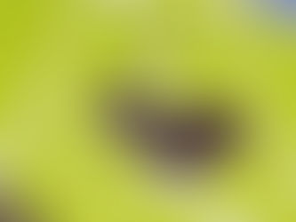 祝５周年　ありがとうございます。