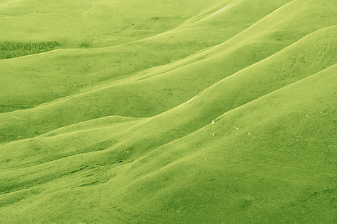 Lush Hills_edited.jpg