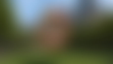 Balanced Forces: NYC